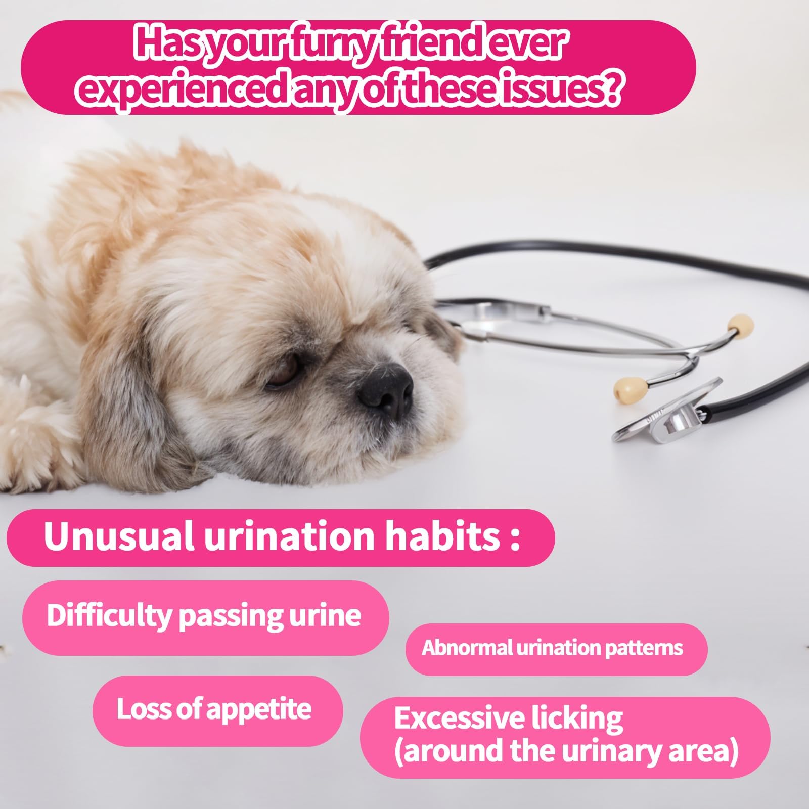 Carmelie cranberry dog chews displayed as tasty, natural urinary support for dogs.