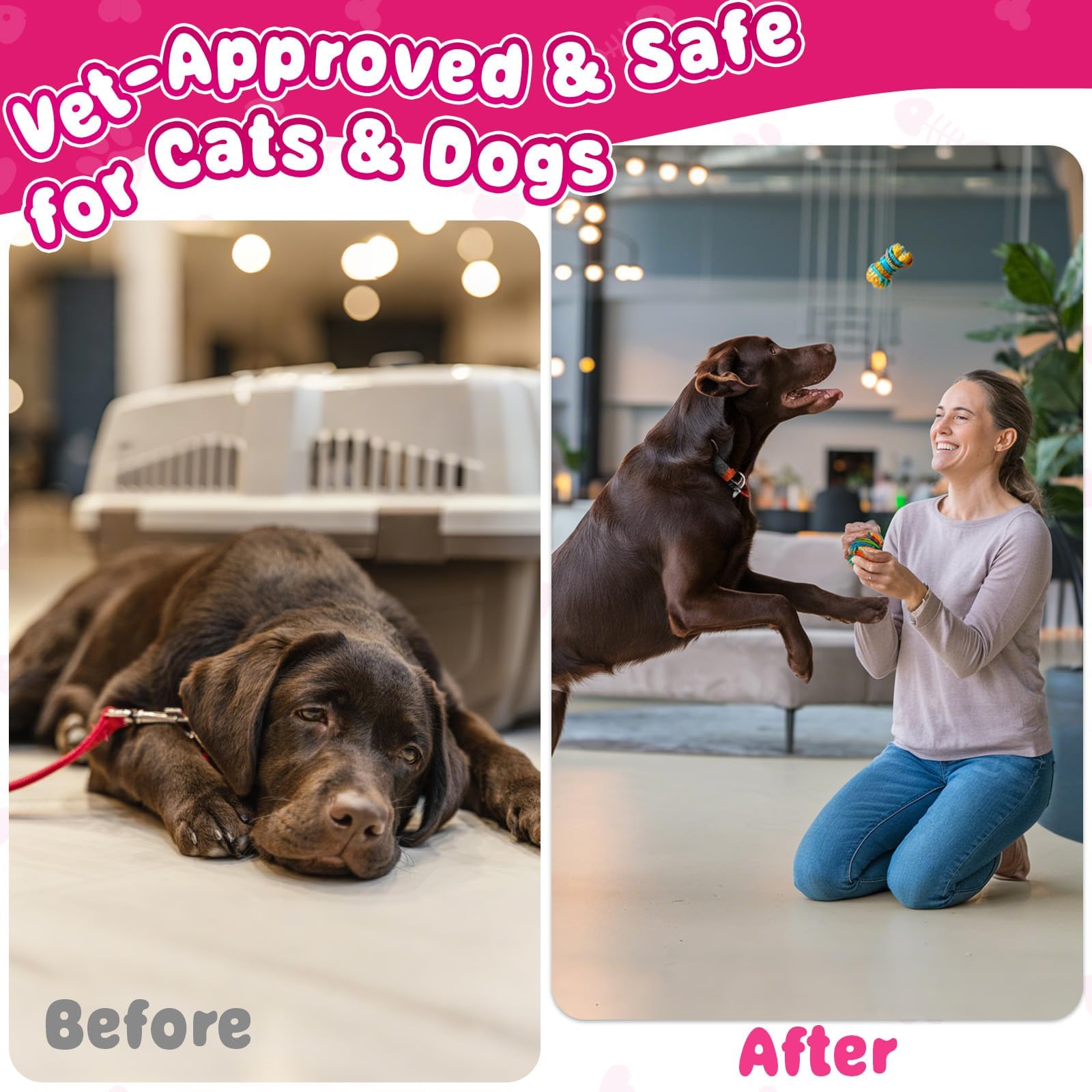 Carmelie drops used with both cats and dogs for everyday urinary support.