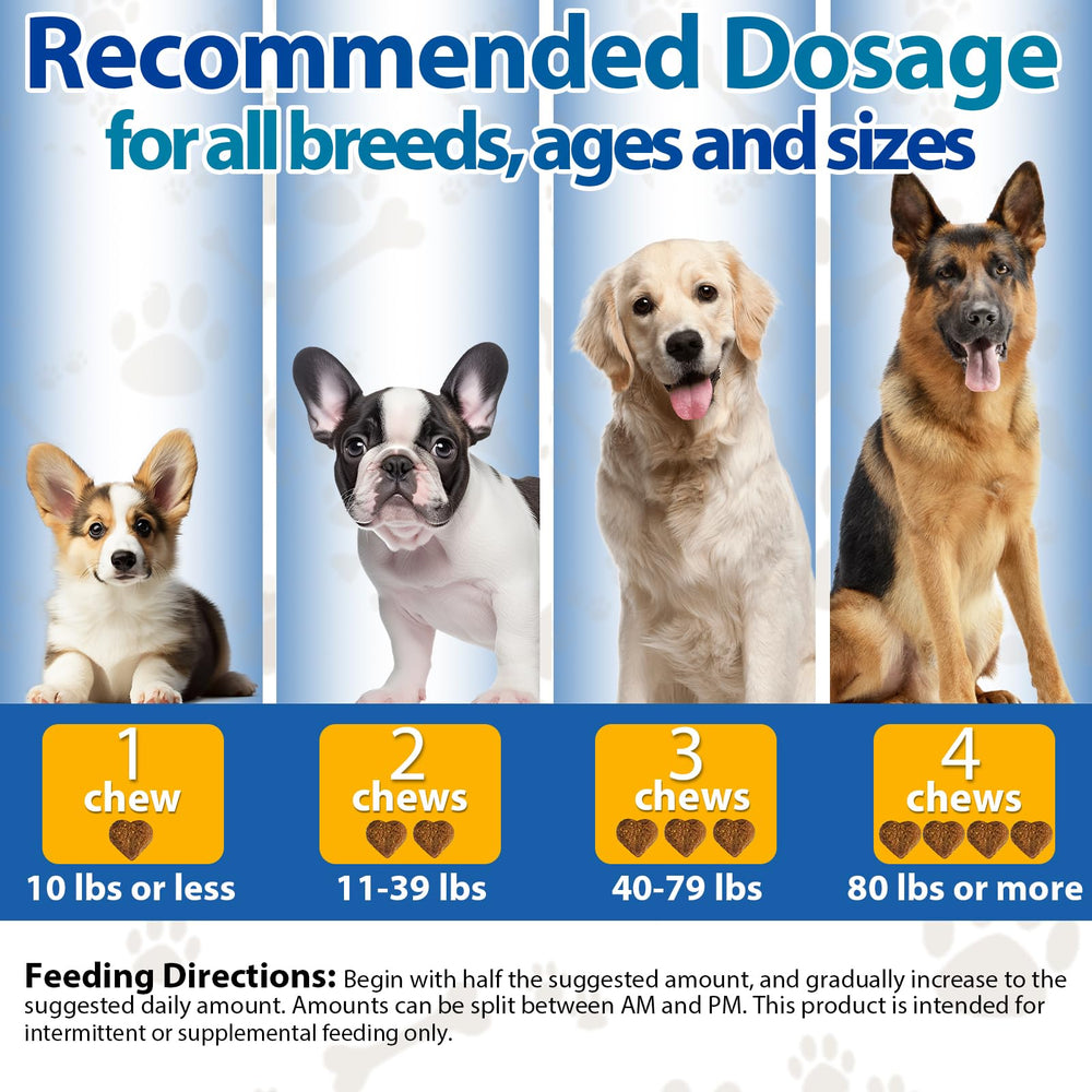 Carmelie Dog Allergy Chews coat health emphasis supports shiny fur.