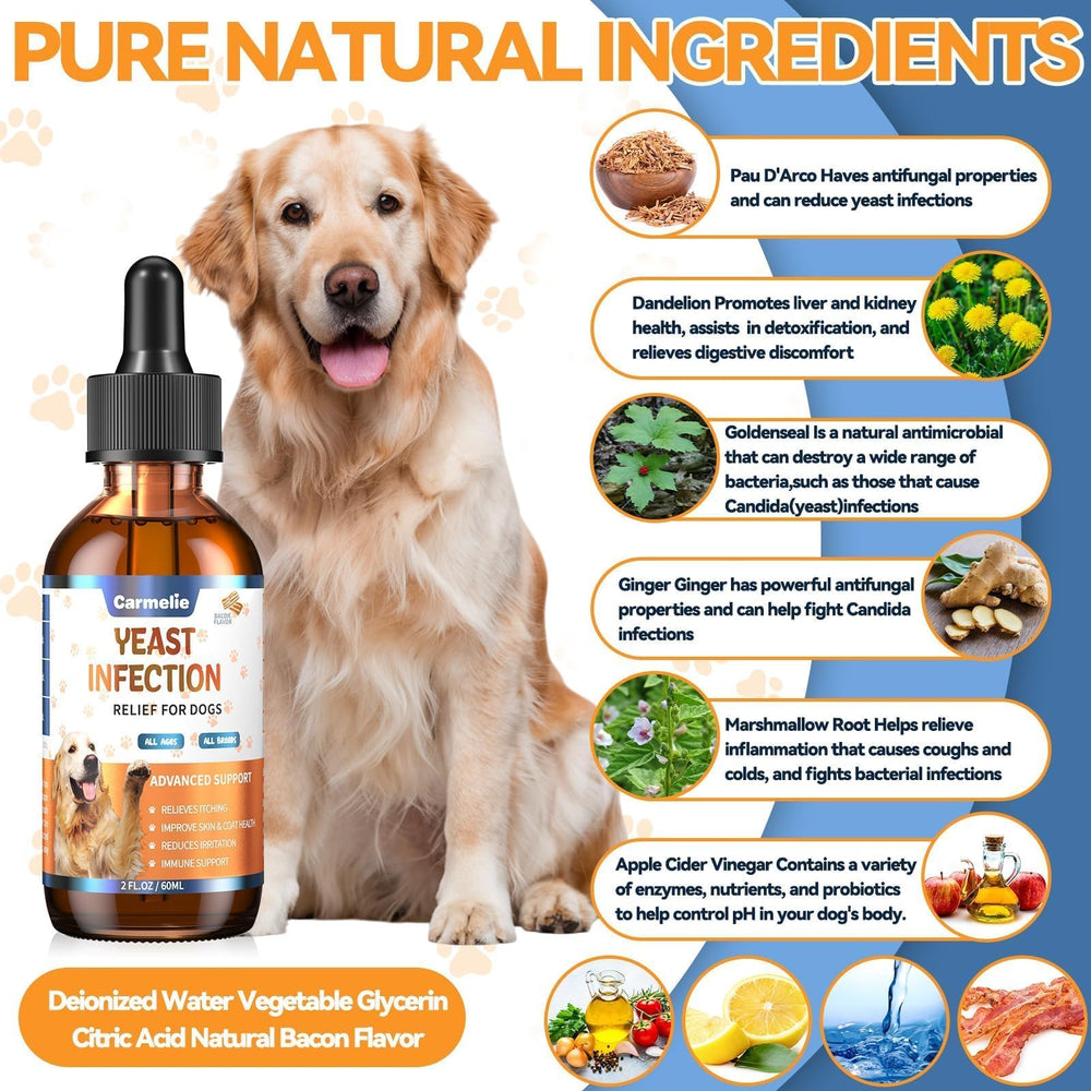 Carmelie dog ear relief application photo—dropper use for targeted ear comfort