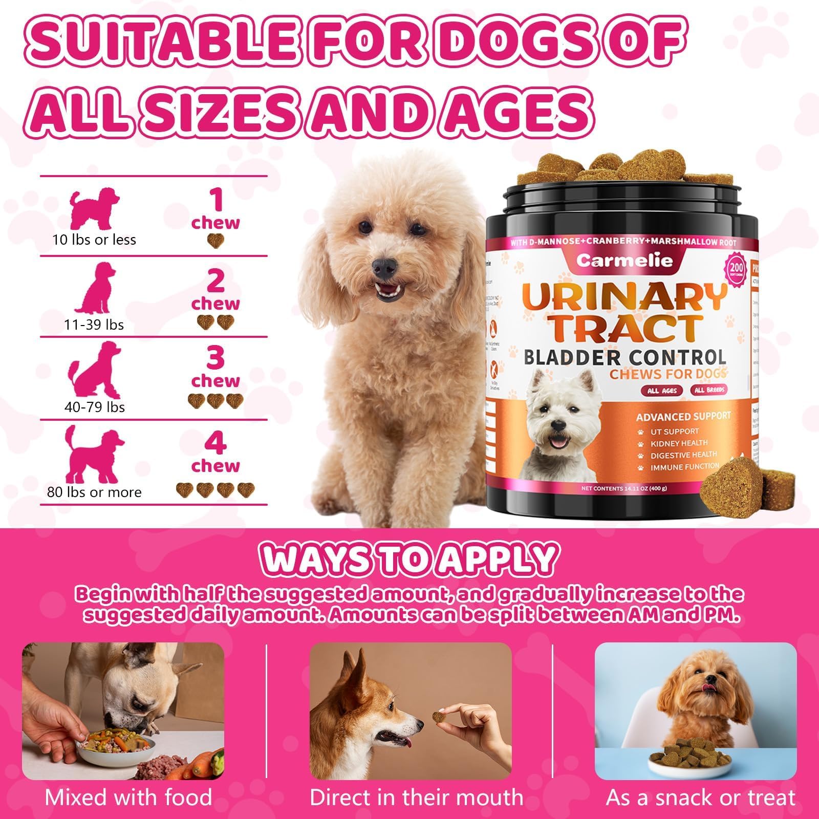 Carmelie dog in motion suggests overall wellbeing and vitality benefits.