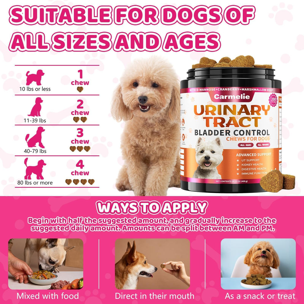 Carmelie dog in motion suggests overall wellbeing and vitality benefits.