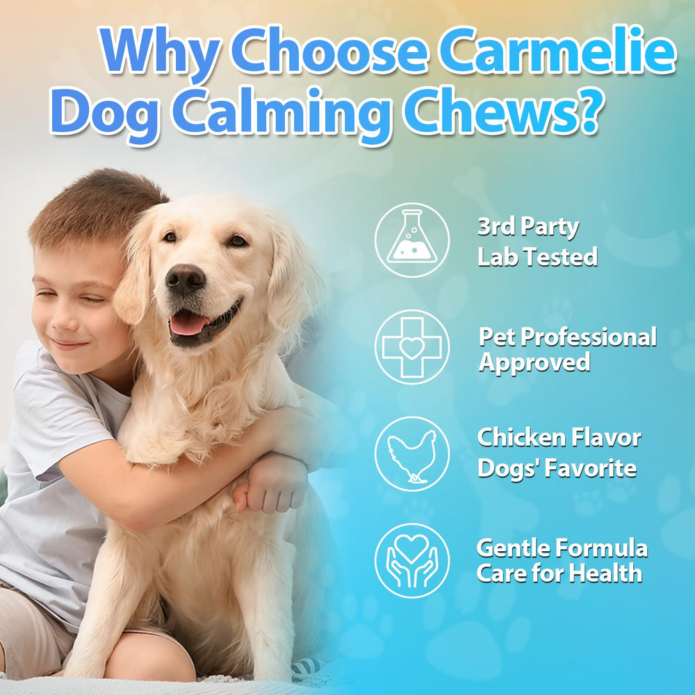 Carmelie dog treats with chicken flavor on a paw-friendly setting for daily routines