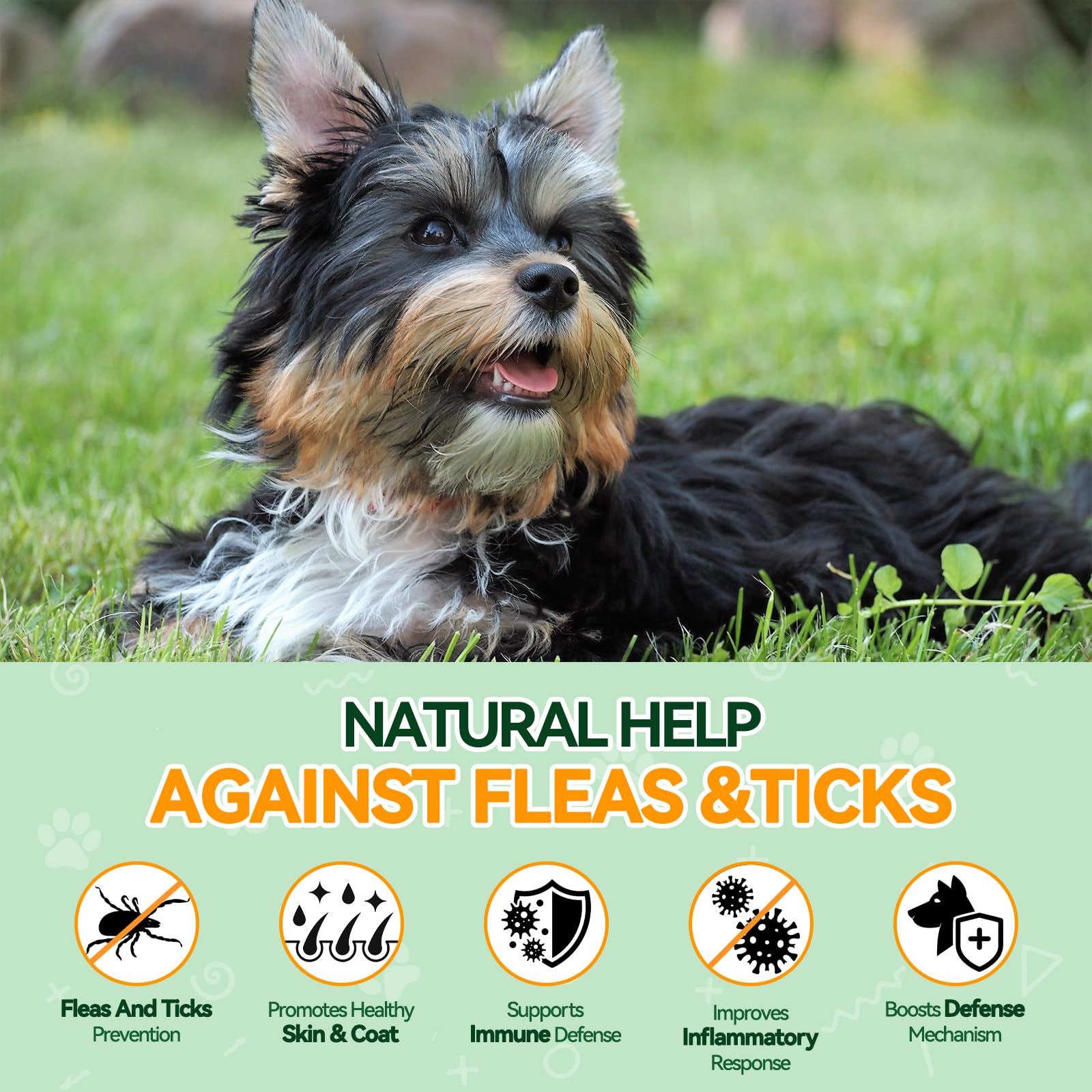 Carmelie chicken-flavor chews close-up emphasizing palatable daily protection.