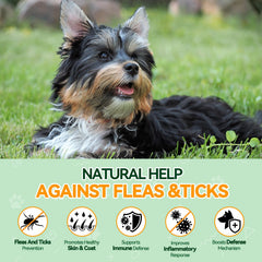 Carmelie chicken-flavor chews close-up emphasizing palatable daily protection.