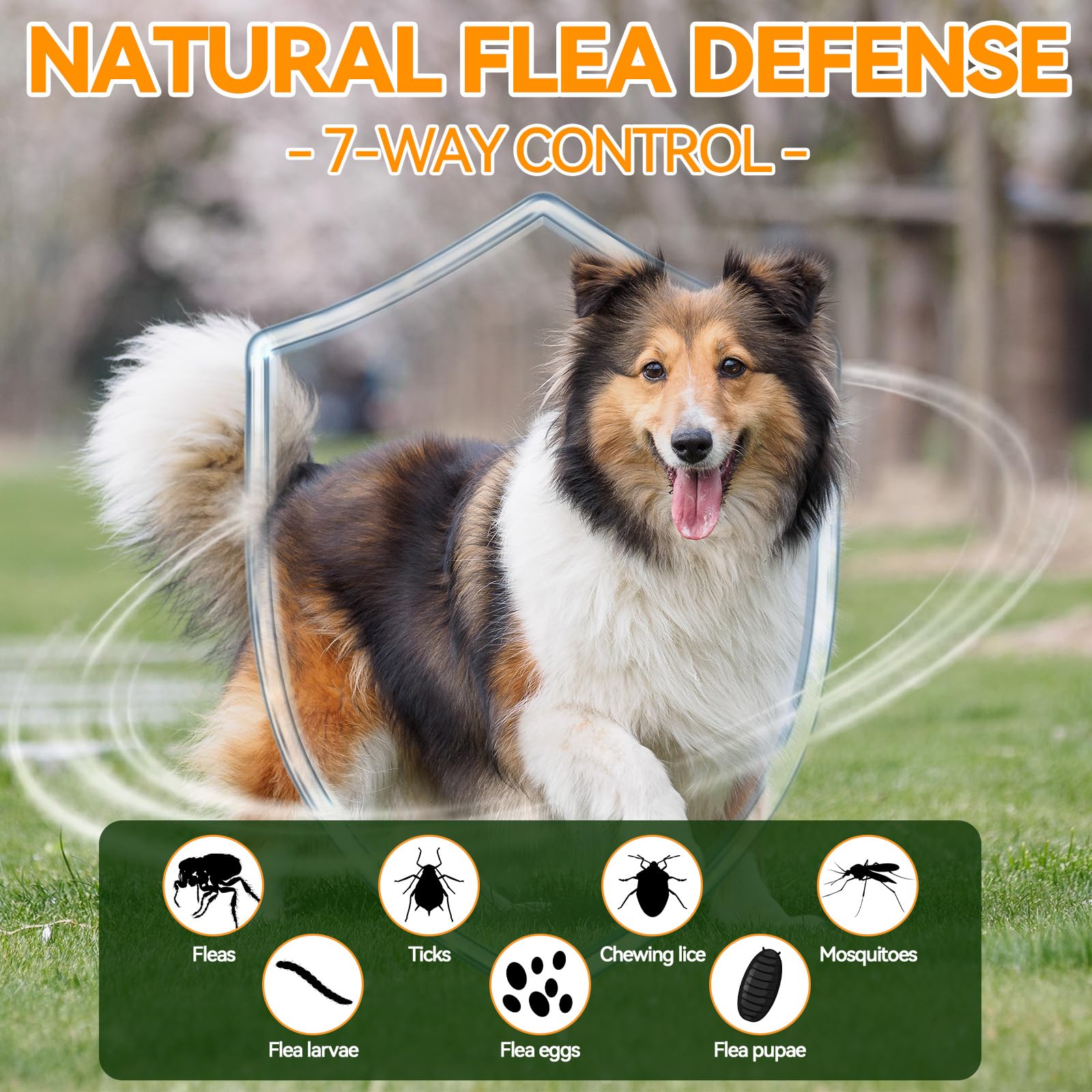 Carmelie chews shown during outdoor hiking for active dogs' flea protection.