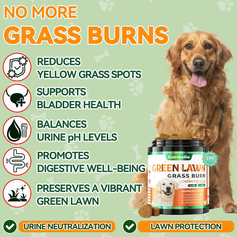 Carmelie Grass Burn Spot Chews close-up of chicken-flavored soft chews for urinary balance.