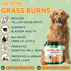 Carmelie Grass Burn Spot Chews close-up of chicken-flavored soft chews for urinary balance.