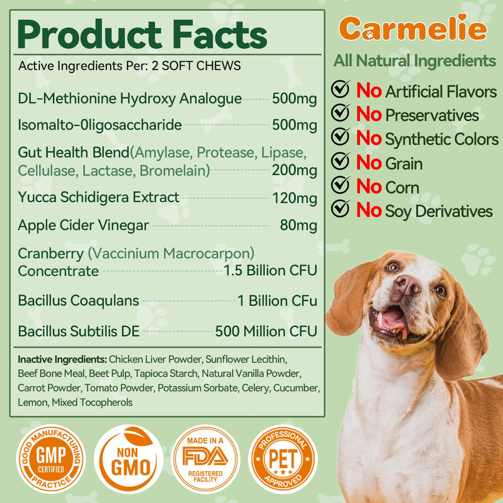 Carmelie Grass Burn Spot Chews fed to a dog supporting digestive health with probiotics.