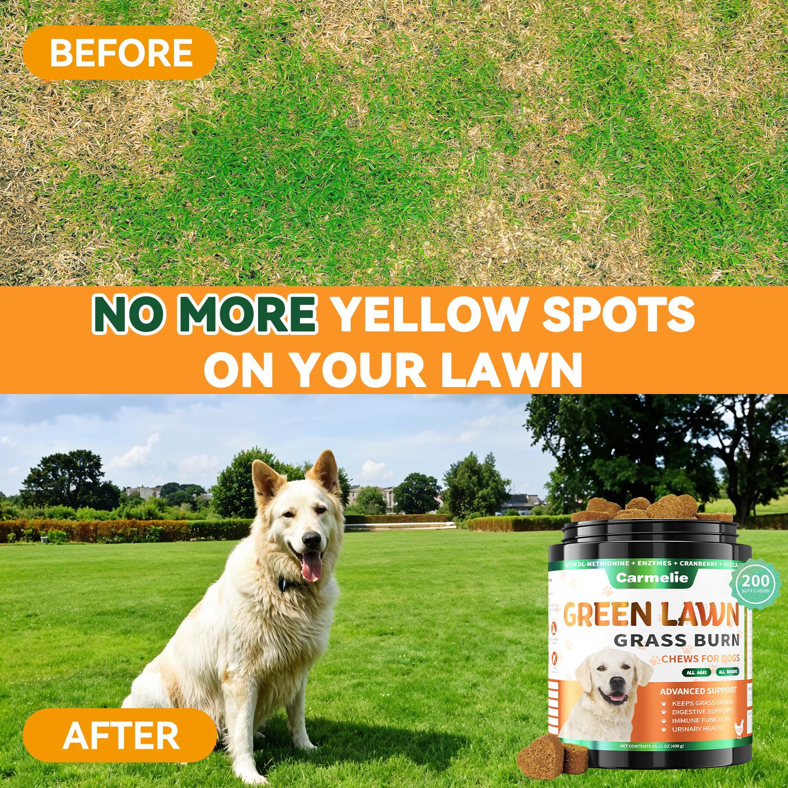 Carmelie Grass Burn Spot Chews beside a lush lawn suggesting potential improvement.