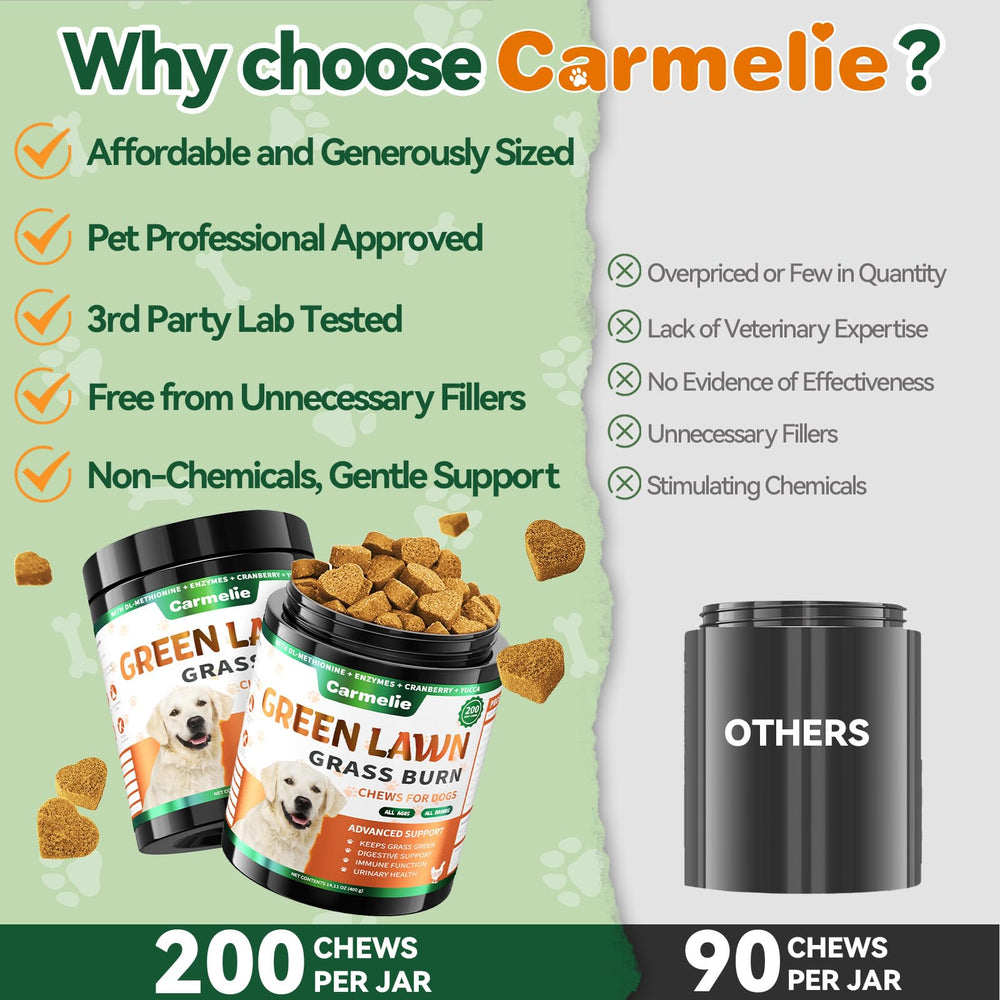 Carmelie Grass Burn Spot Chews used during outdoor play for routine lawn care.