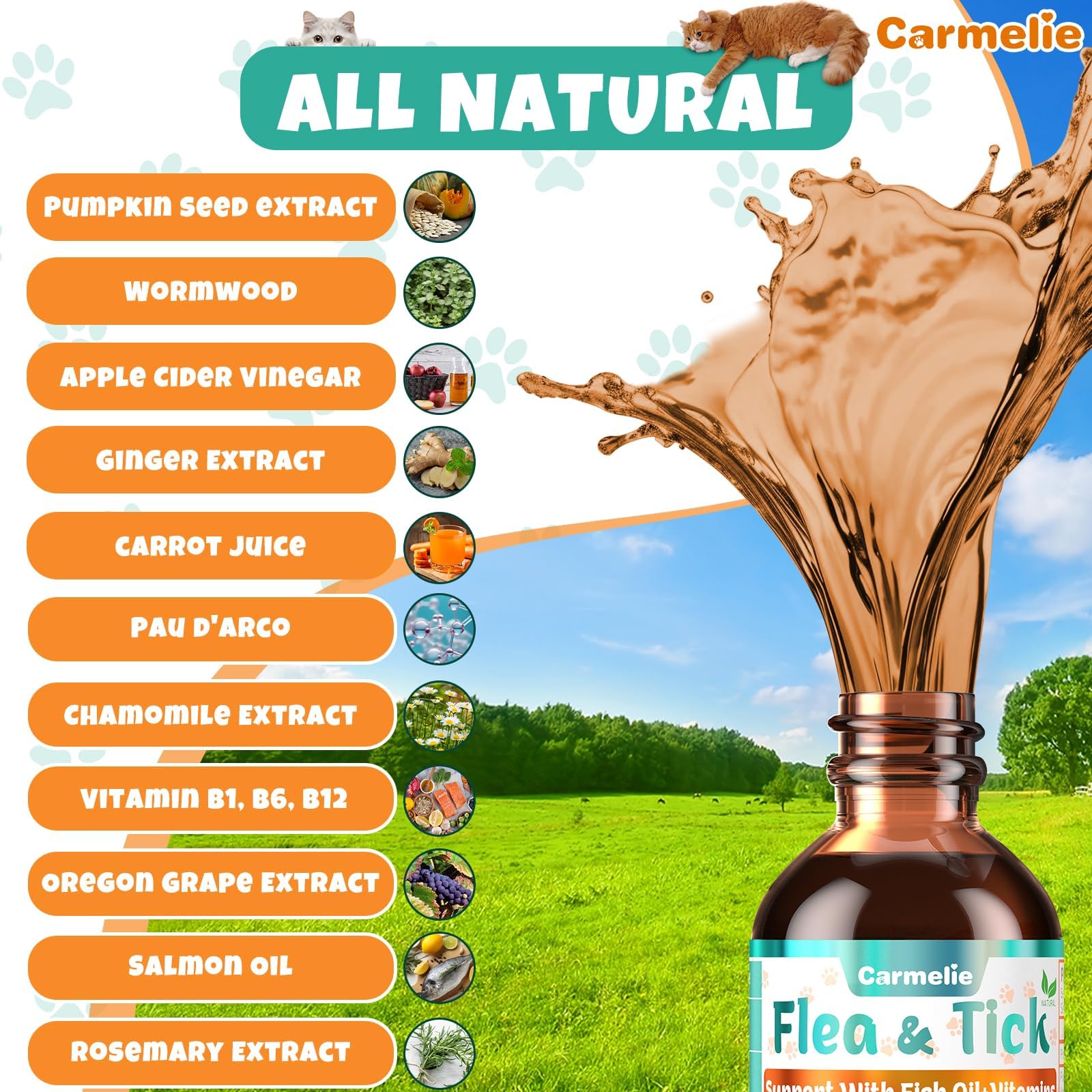 Carmelie ingredient label closeup highlights natural carrot juice and wormwood.