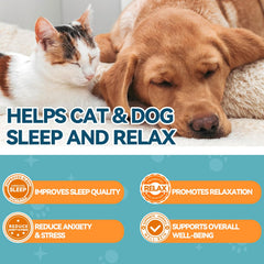 Carmelie melatonin for pets dog relaxation scene at bedtime