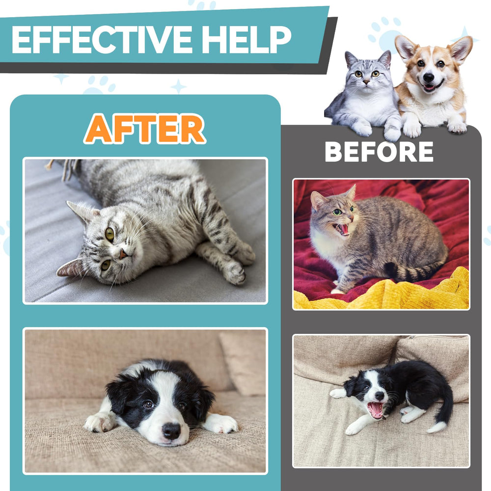 Carmelie melatonin for pets water-dosing setup for hydration-friendly administration