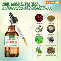 Carmelie natural antibiotics for cats dropper dispensing for easy administration.