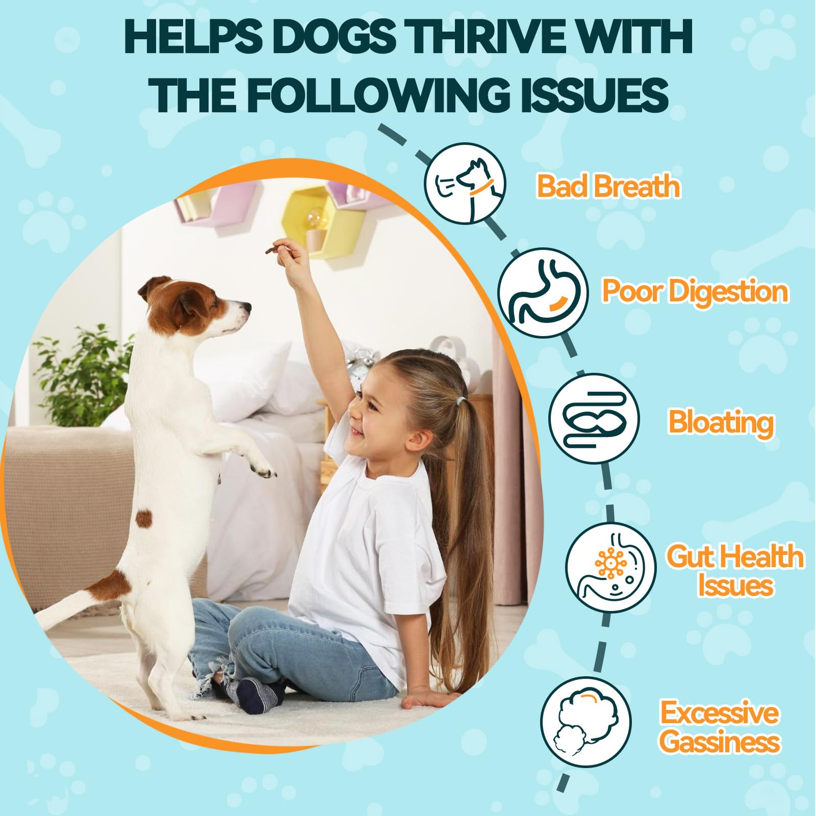 Carmelie Probiotics for Dogs prebiotic illustration showing immune support through gut health