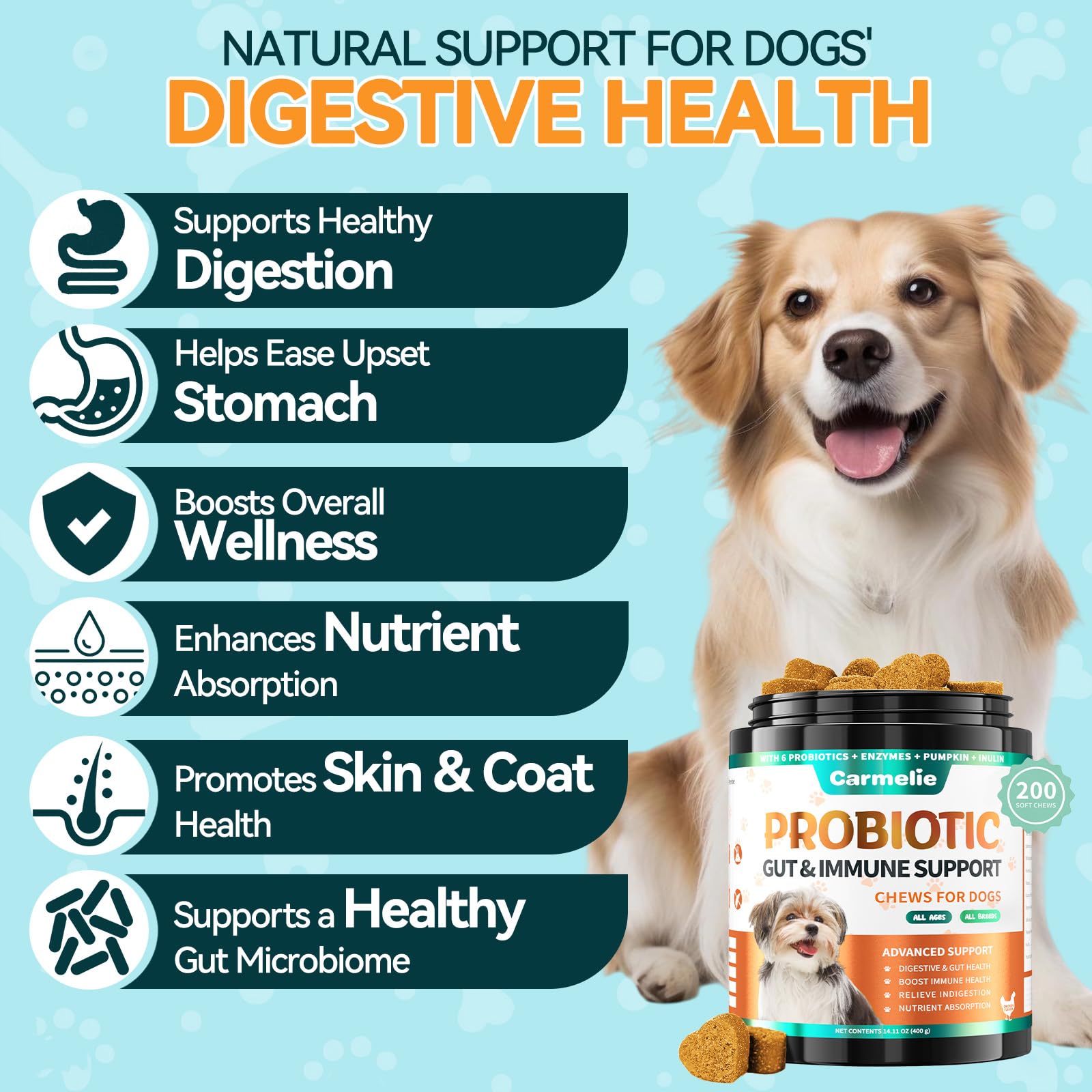 Carmelie Probiotics for Dogs ingredients including pumpkin highlight digestive support