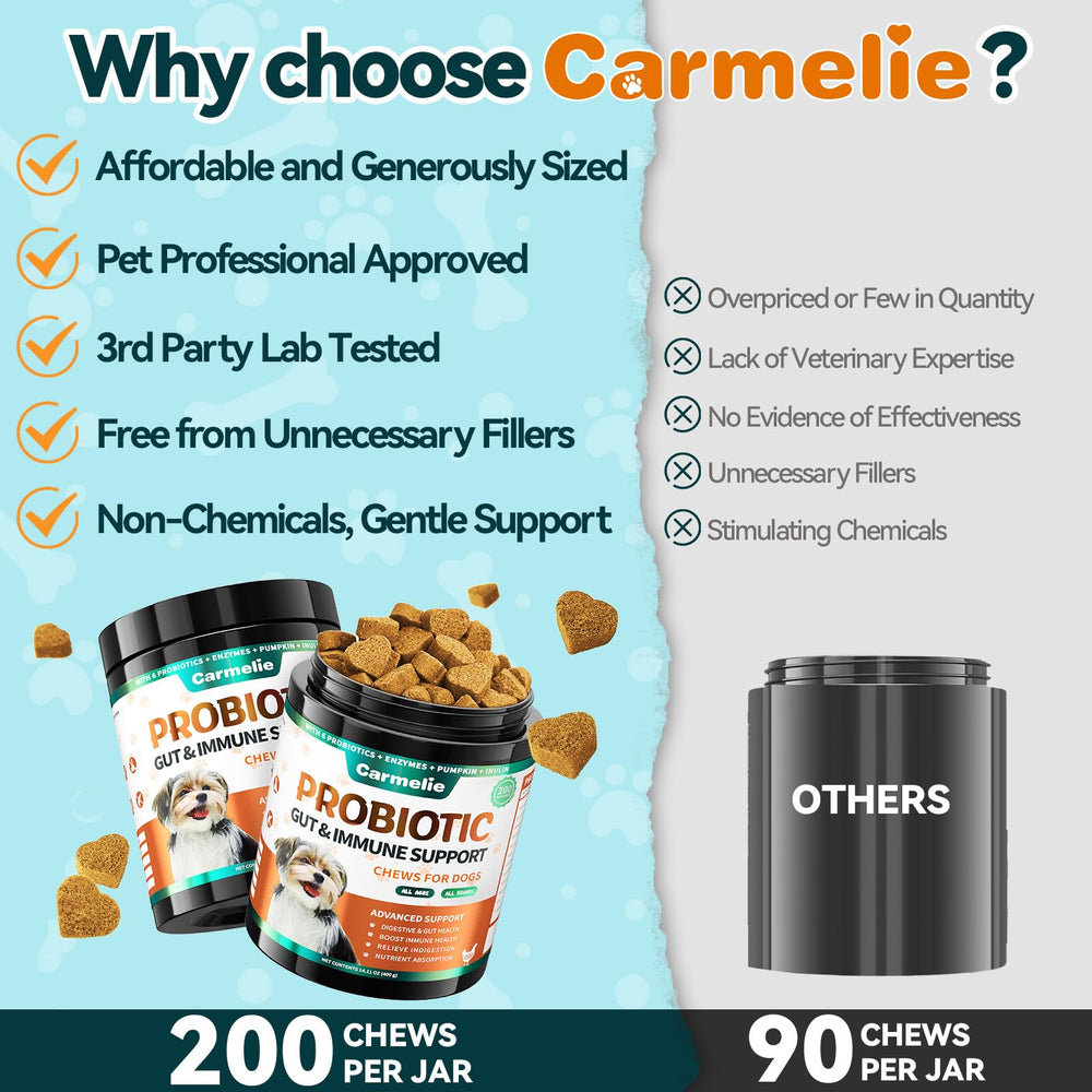 Carmelie Probiotics for Dogs usage guide visual illustrating daily routine