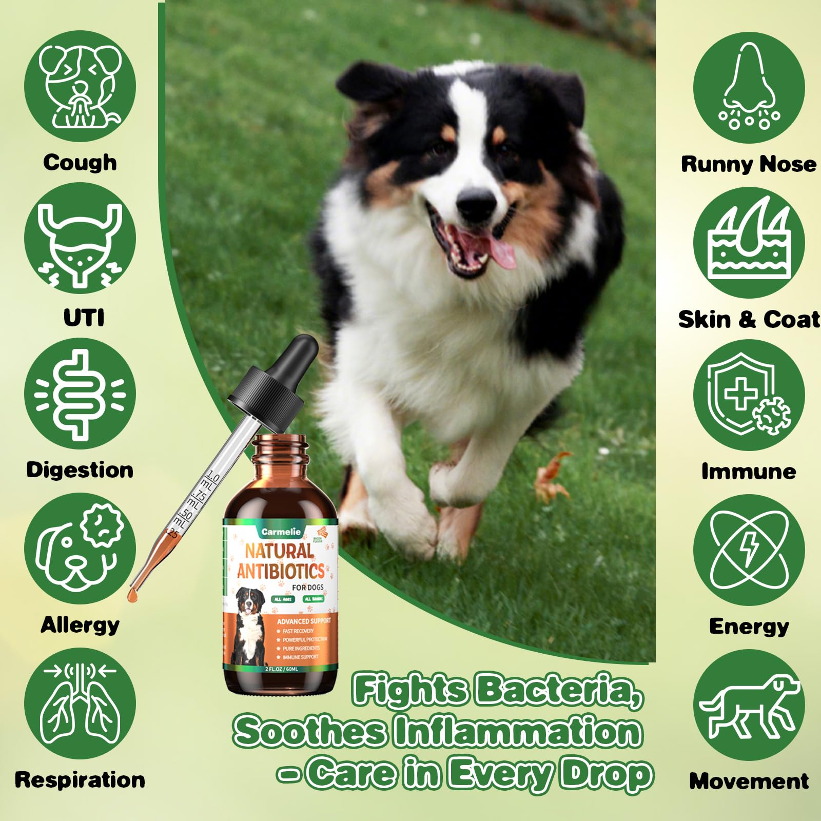 Carmelie skin health support drops highlight a gentle all-natural formula for pets.