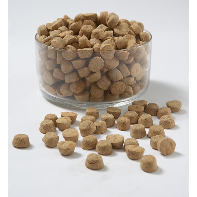 CARNA4 sprouted seeds nutrition image shows probiotic and enzyme-rich ingredients for daily meals.