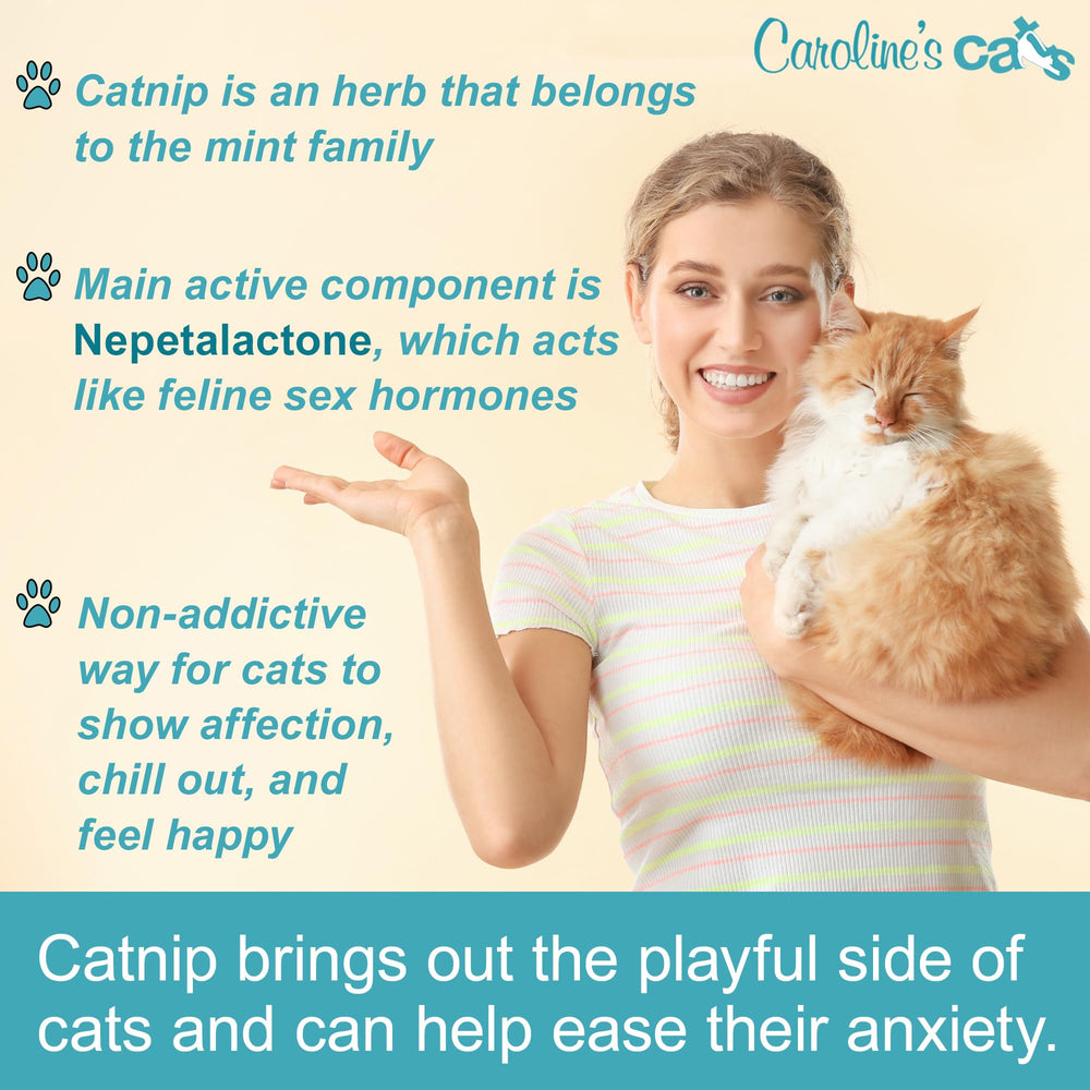 Caroline's Cats catnip refill for bird toys boosts engagement and exercise