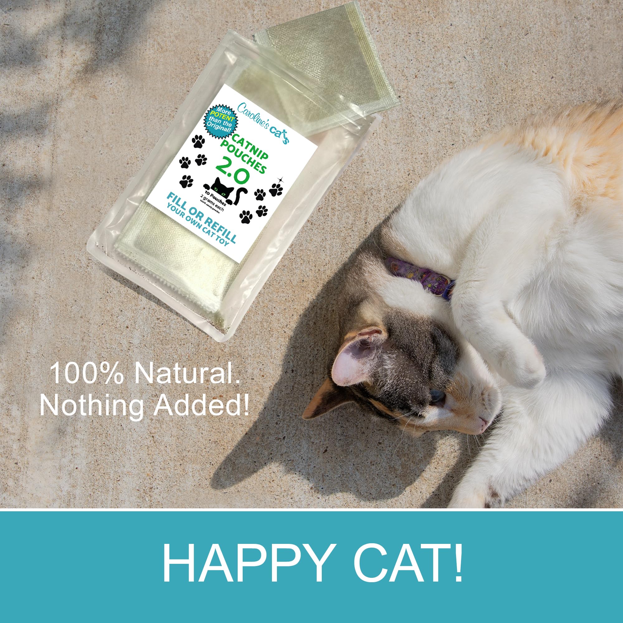 Caroline's Cats natural catnip without fillers supports safe, stimulating play