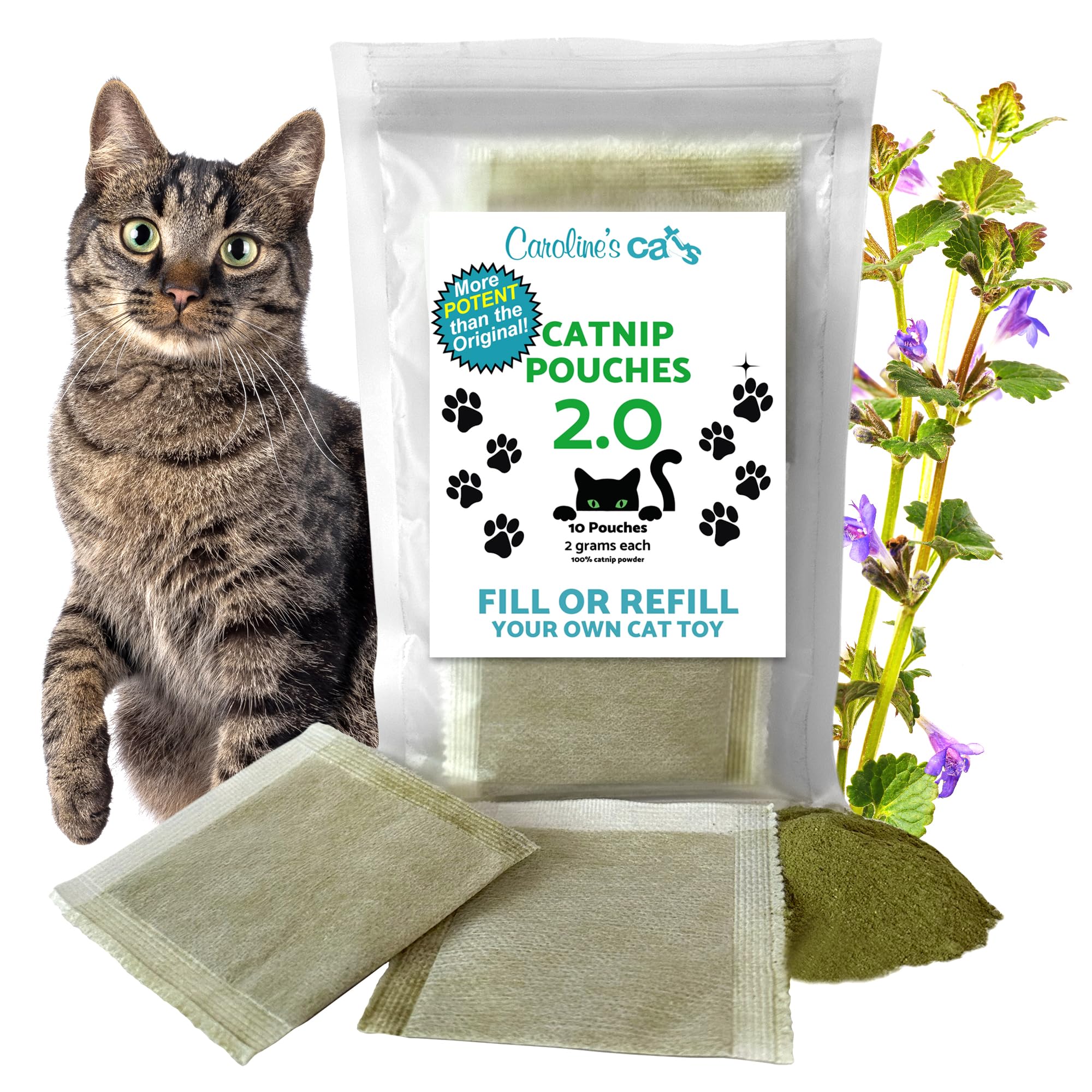 Caroline's Cats organic catnip packets 2.0 closeup for potent playtime exploration