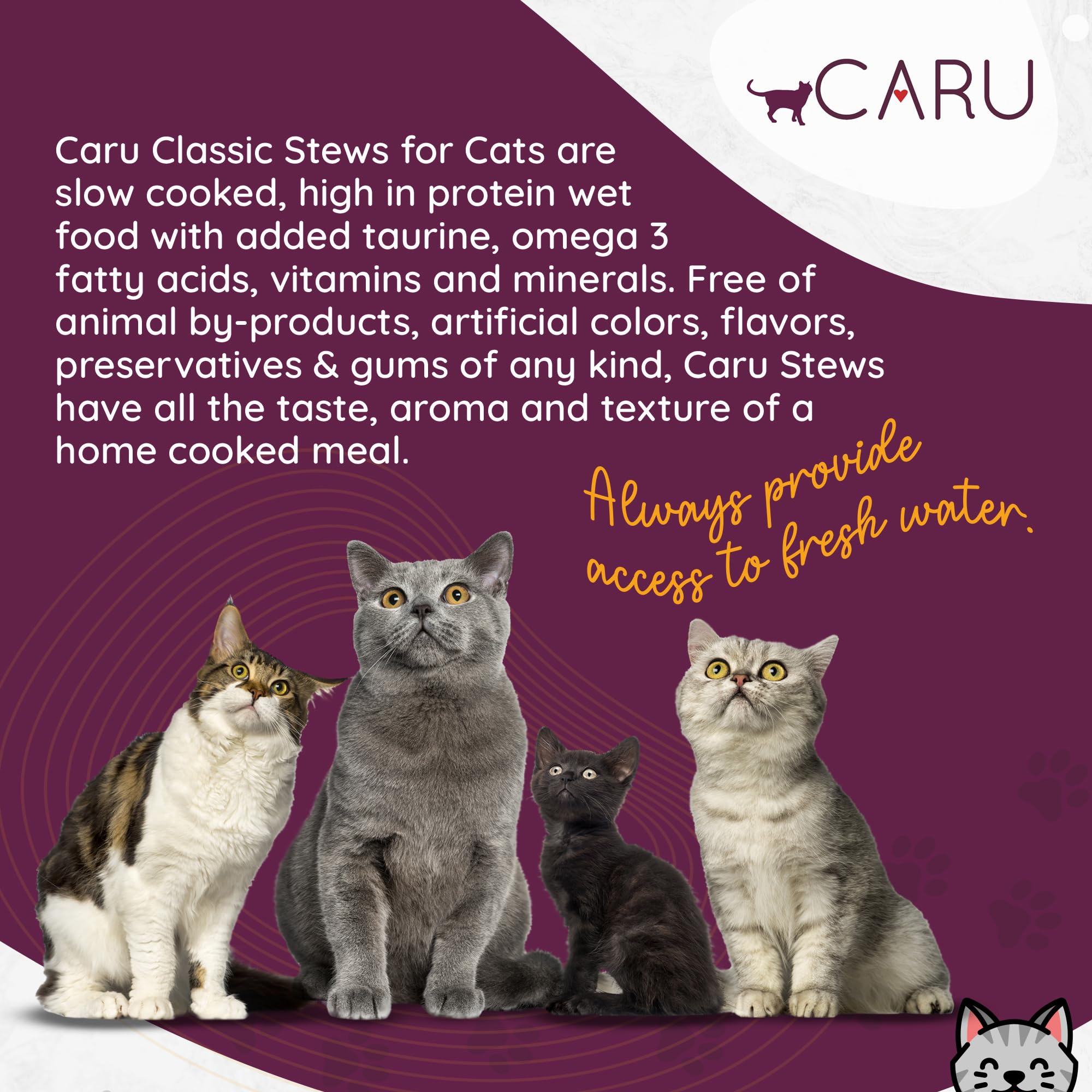Caru Classics Turkey Stew bone broth base delivering rich aroma and flavor.