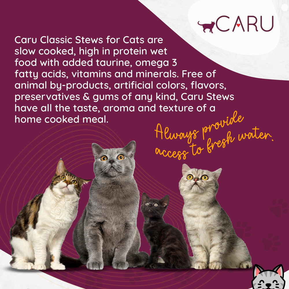 Caru Classics Turkey Stew bone broth base delivering rich aroma and flavor.