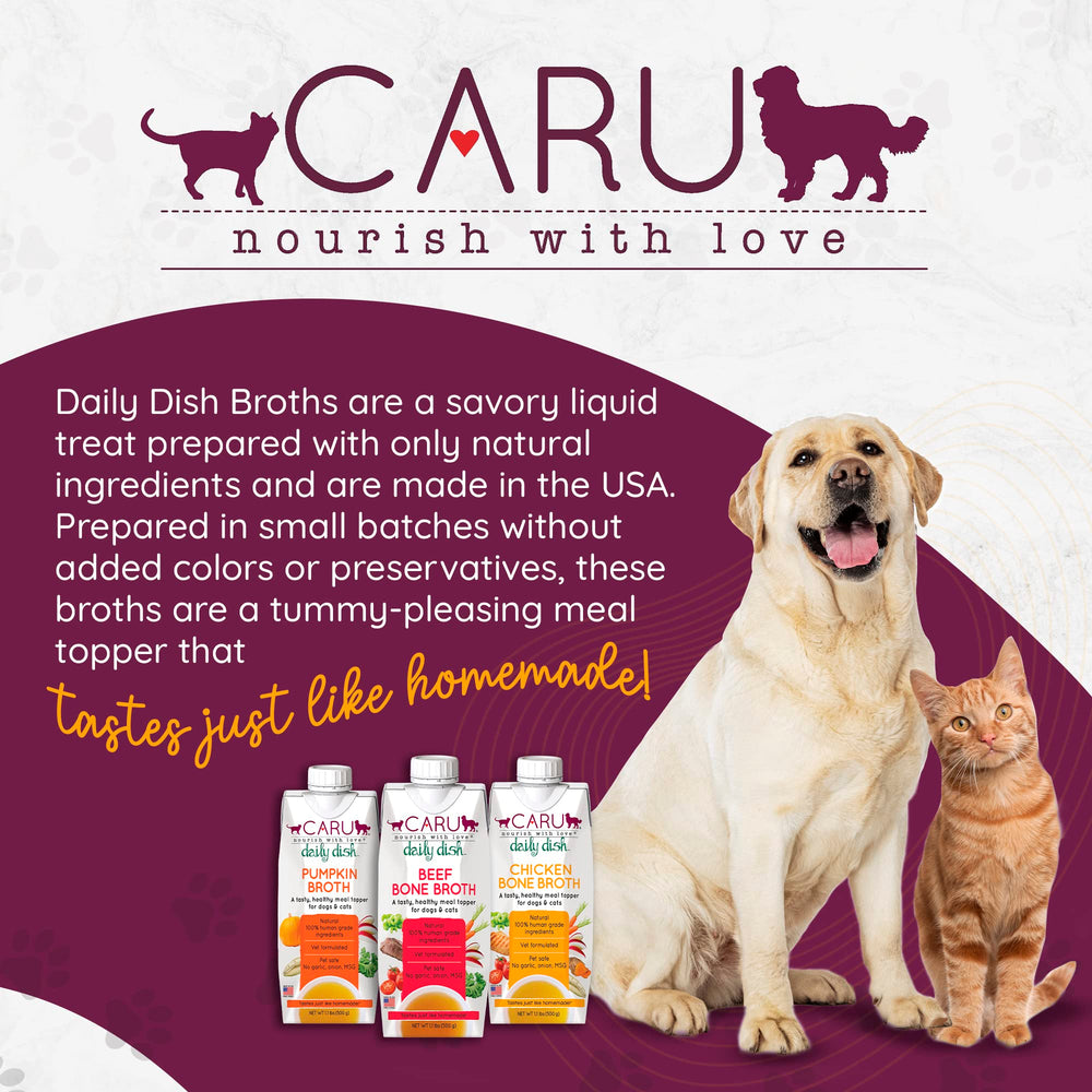 Caru Daily Dish all-natural ingredients label shows no artificial additives