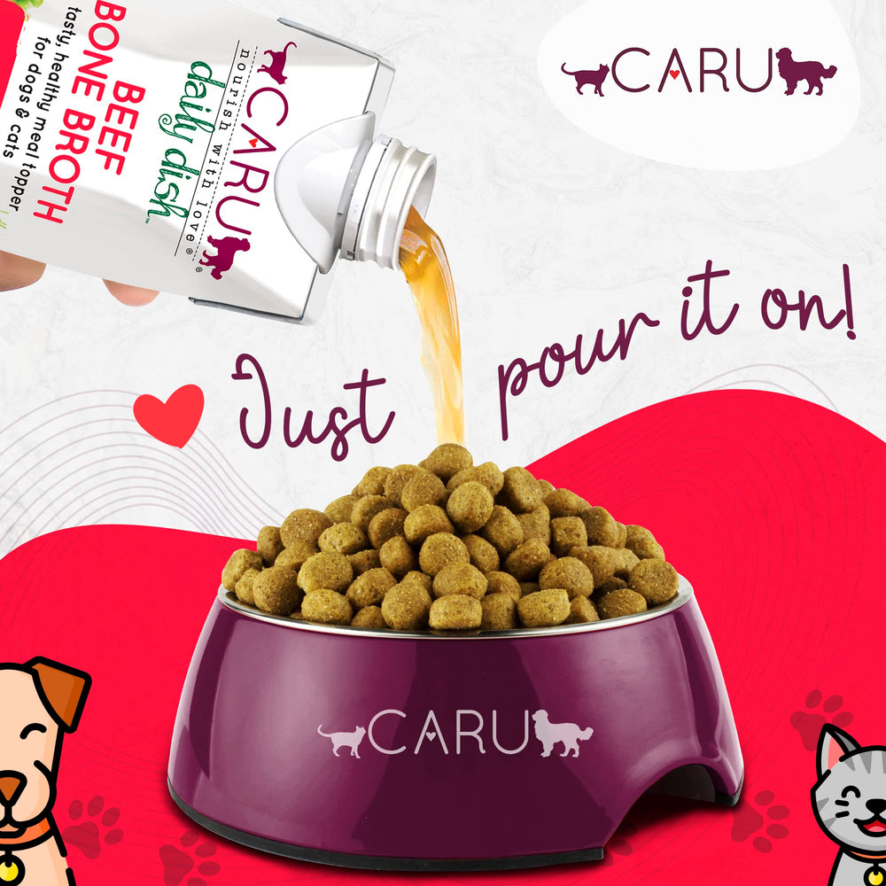 Caru Daily Dish broth topper served in a bowl for dogs and cats