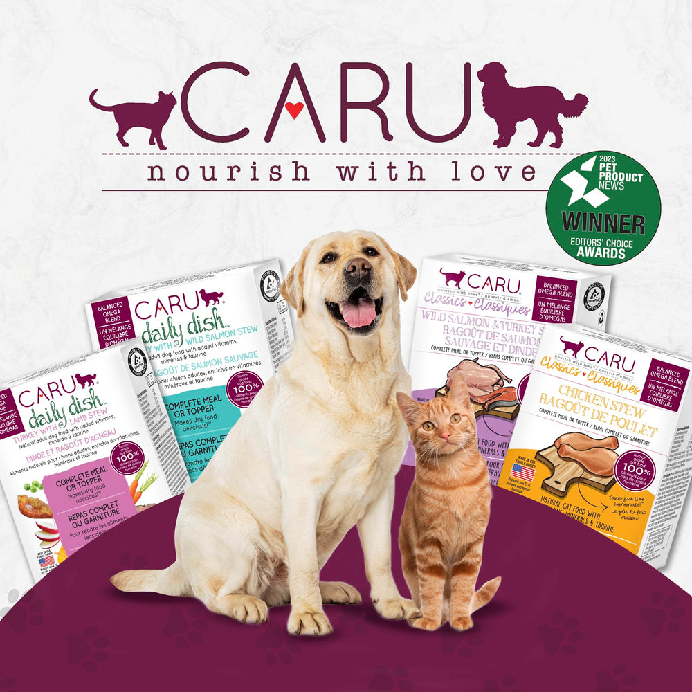 Caru Daily Dish in action as a dog enjoys chunks of turkey and salmon.