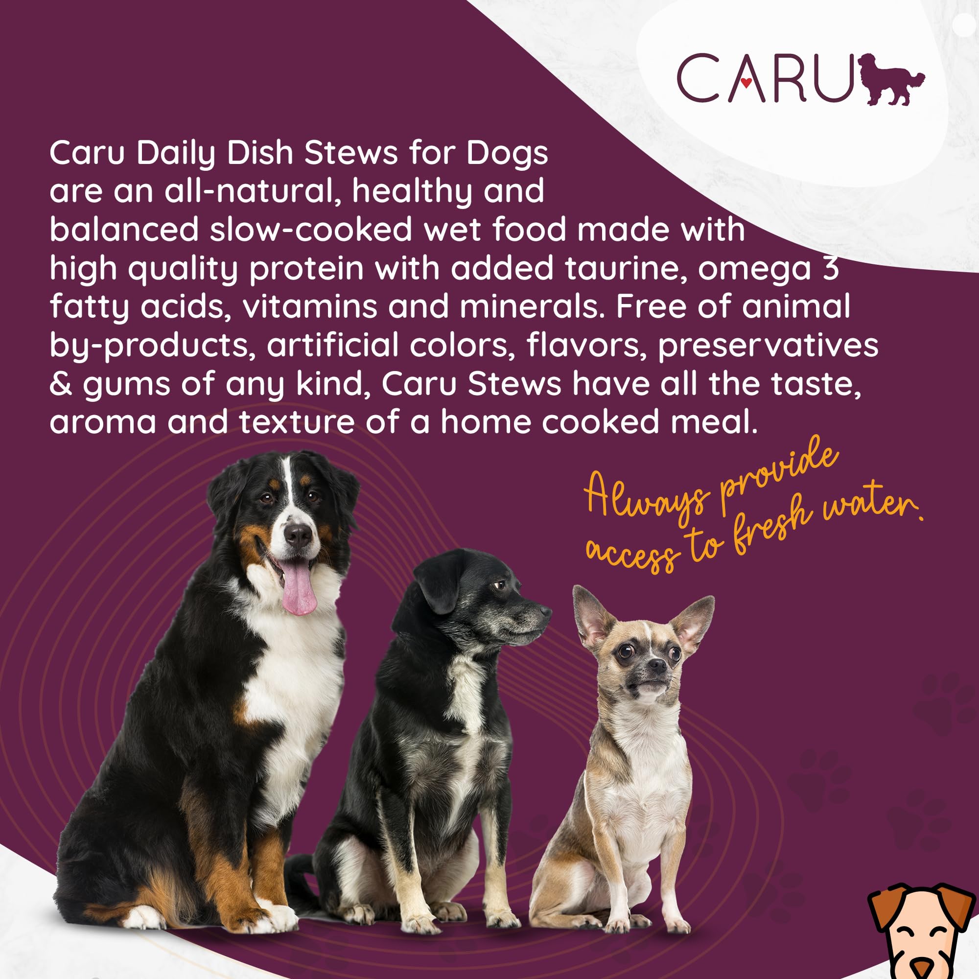 Caru Daily Dish served over dry kibble adds a flavorful topper for balanced meals.