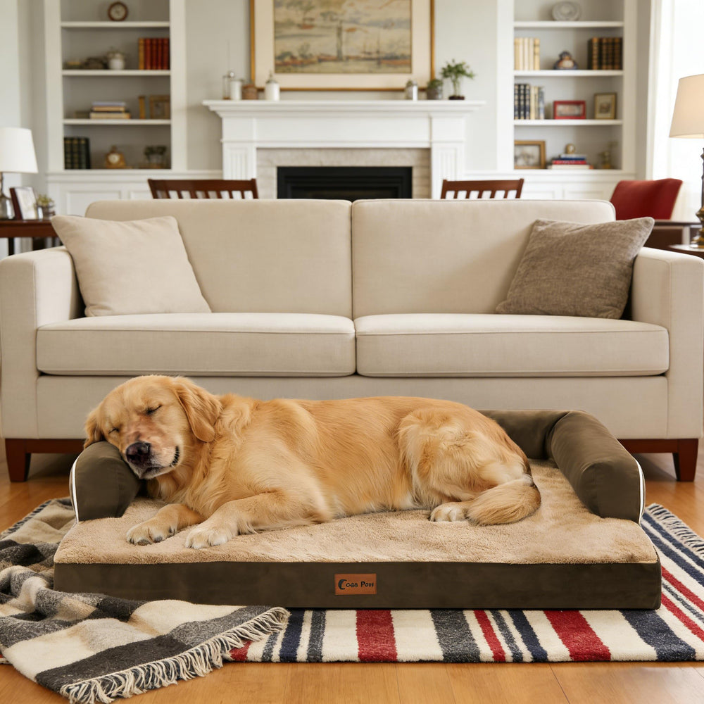 Casa-Paw-dog-bed-in-room fits home decor while offering cozy retreat.