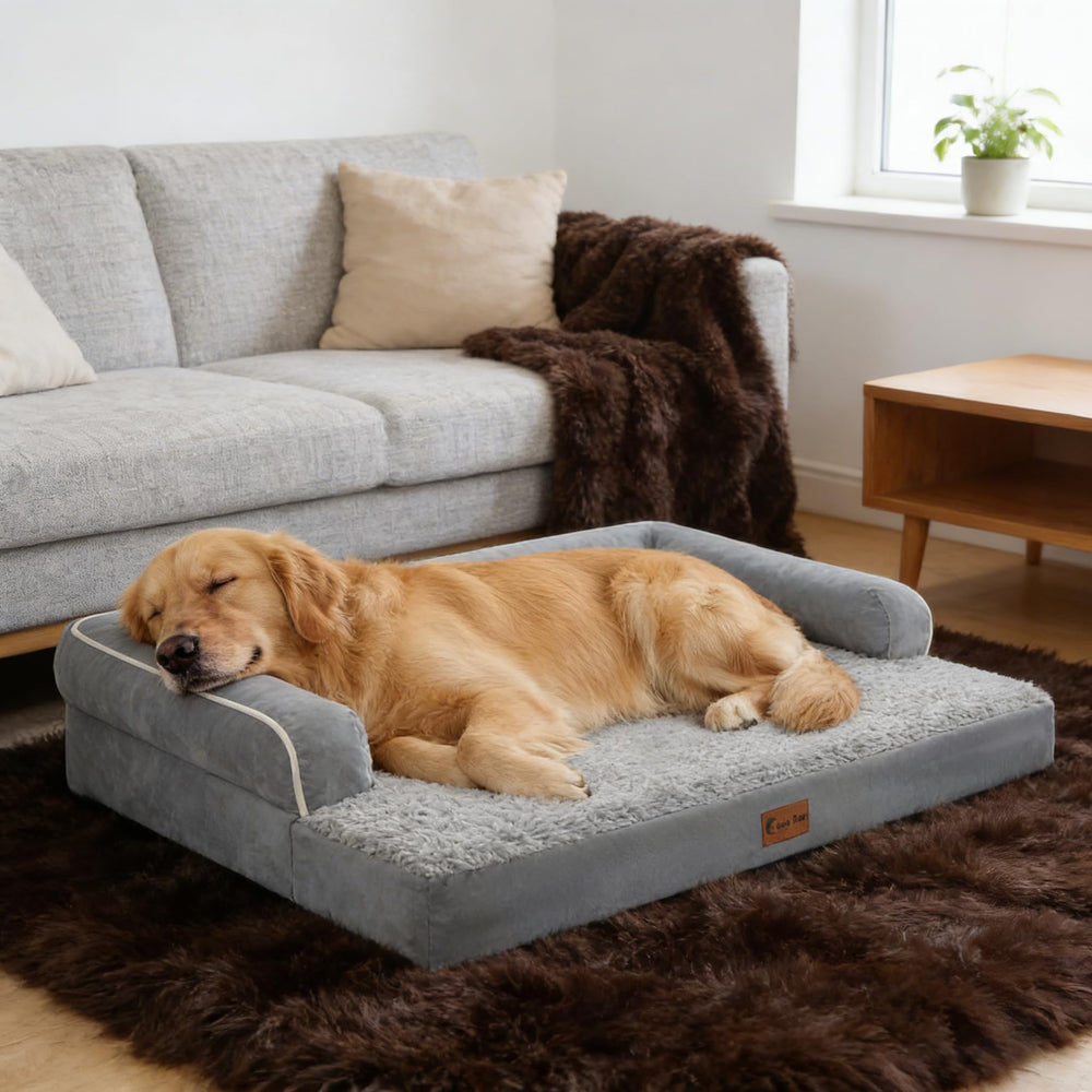 Casa Paw vacuum-packed packaging expands quickly into plush comfort.
