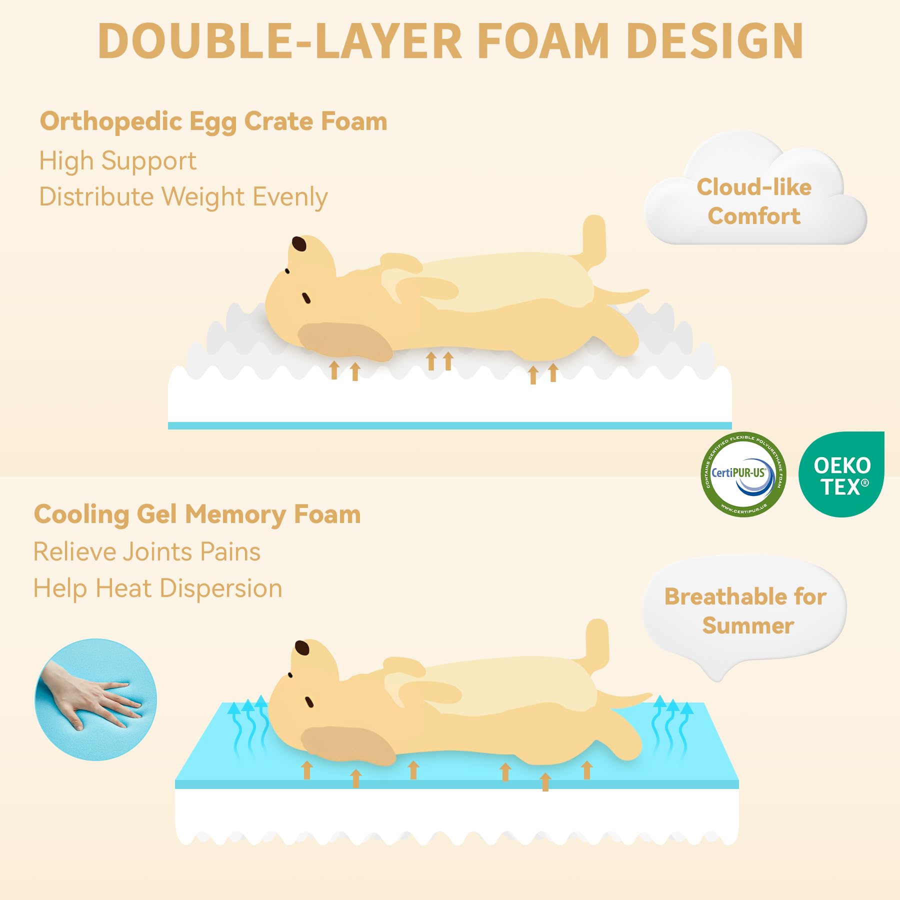 Casa Paw orthopedic bed XL egg crate foam demonstrating even weight distribution for comfort