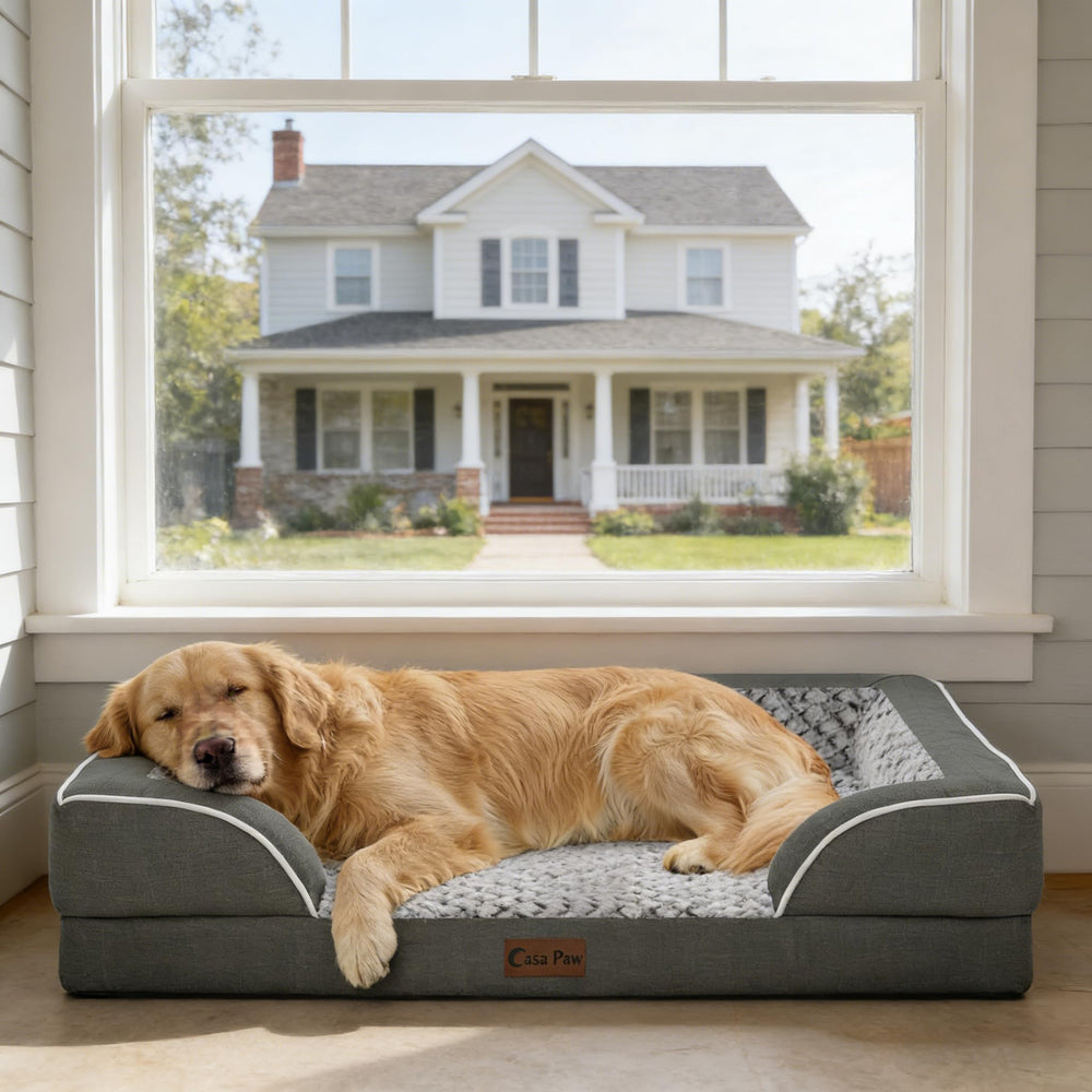 Casa Paw orthopedic bed XL tear-resistant zipper enables easy cleaning
