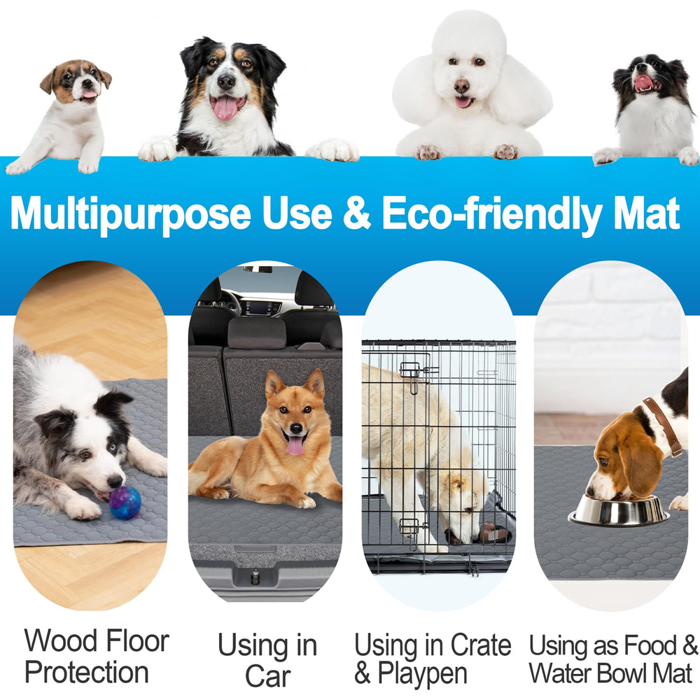 Casa Paw Washable Pee Pad car-seat usage shows mess containment on trips.