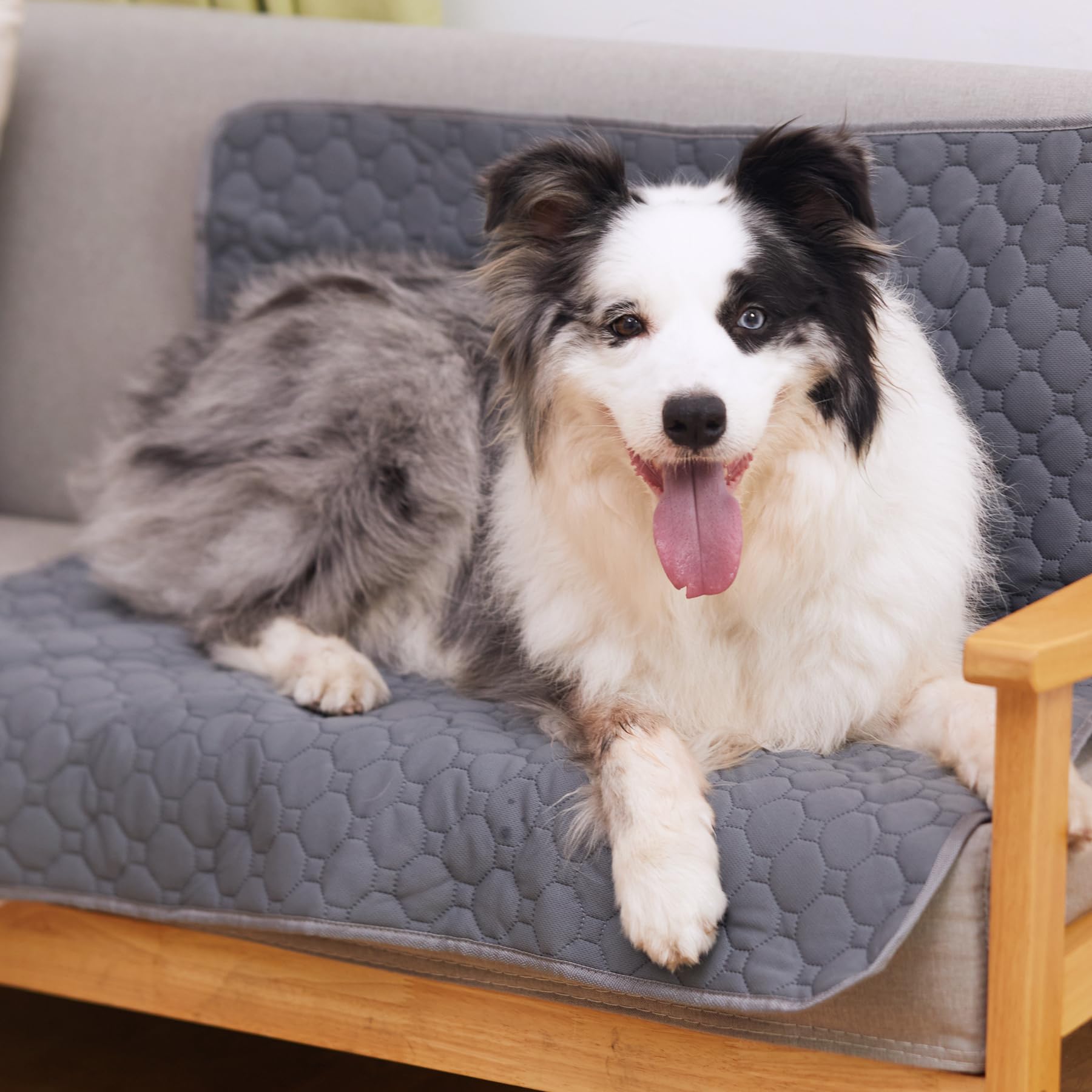 Casa Paw Washable Pee Pad whelping area provides gentle coverage for newborn puppies.
