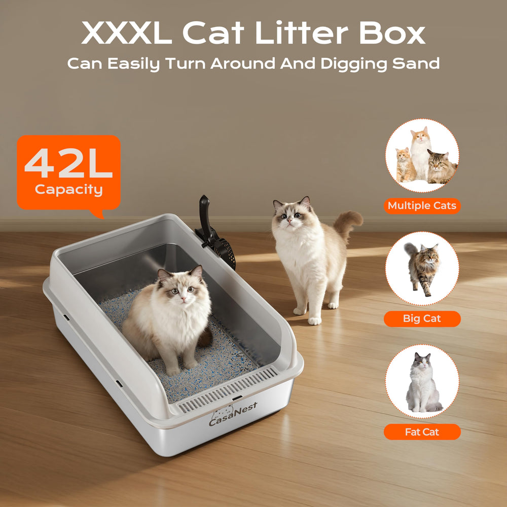 CasaNest XXXL inside view reveals spacious area for multi-cat households.