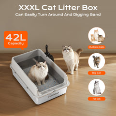 CasaNest XXXL inside view reveals spacious area for multi-cat households.