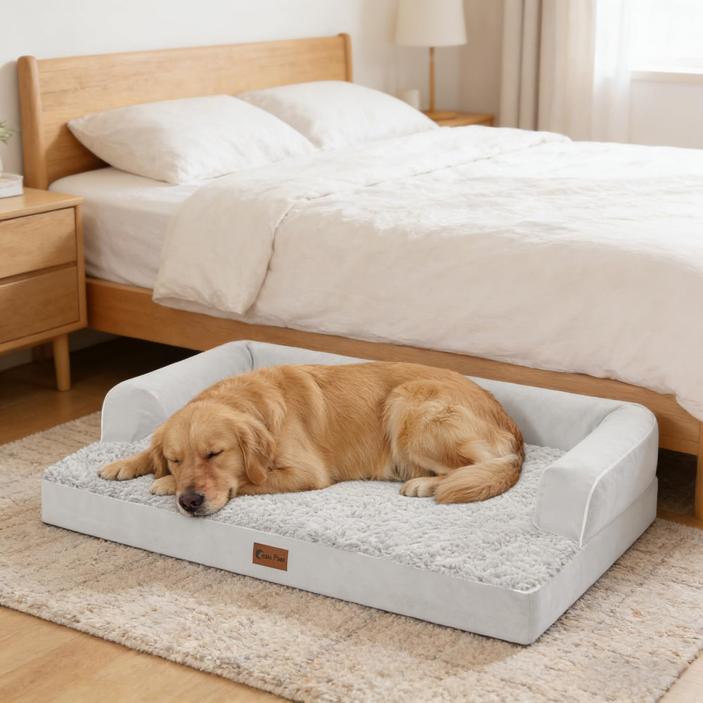 Casa Paw bed in living room with a relaxed large dog.