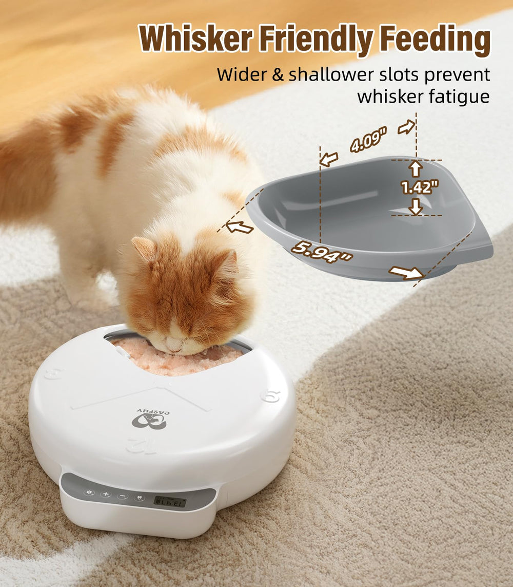 Casfuy feeder LCD display illustrating clear scheduling and easy navigation.
