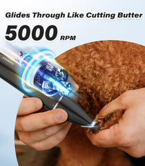Casfuy paw trimmer 04-inch head for delicate areas like ears and eyes