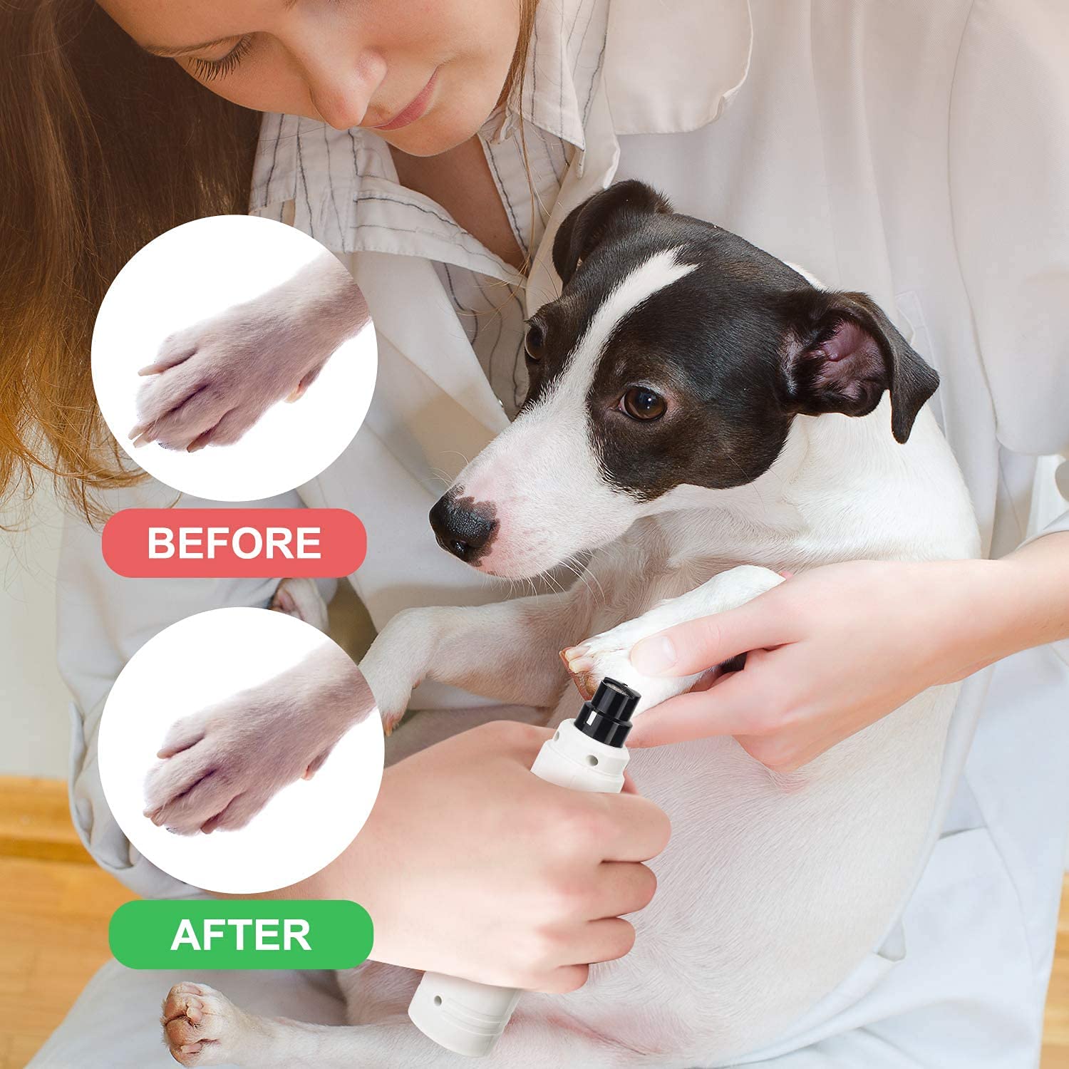 Casfuy is recommended by veterinarians and grooming pros for reliable pet care
