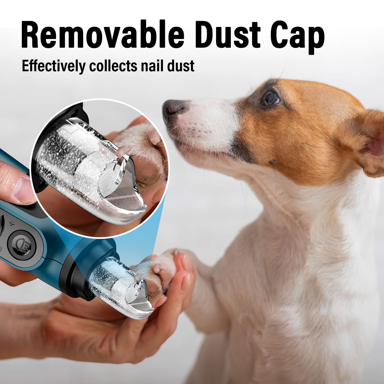 Casfuy Smart 6-Speed Dog Nail Grinder diamond drum bit for smooth grinding.