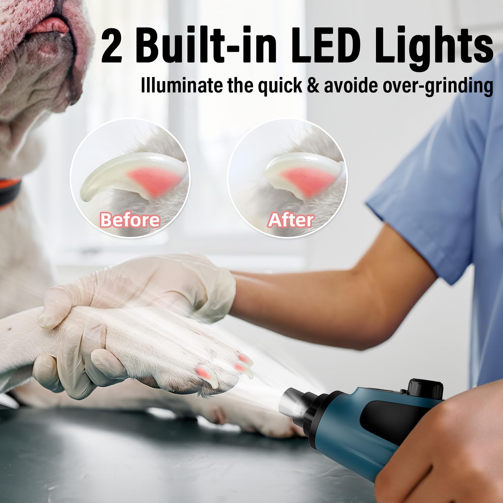 Casfuy Smart 6-Speed Dog Nail Grinder three ports shown for different nail sizes.