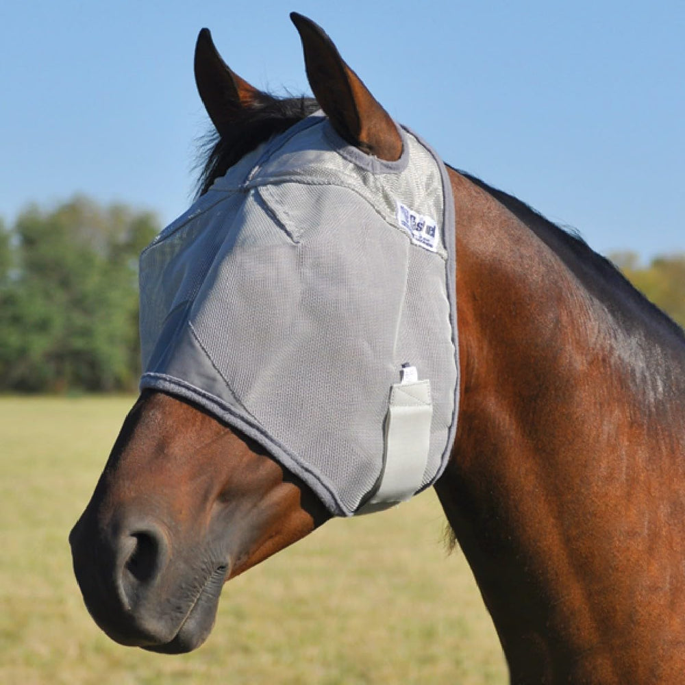 Cashel Crusader fly mask full-view on gray horse providing clear vision and fly protection