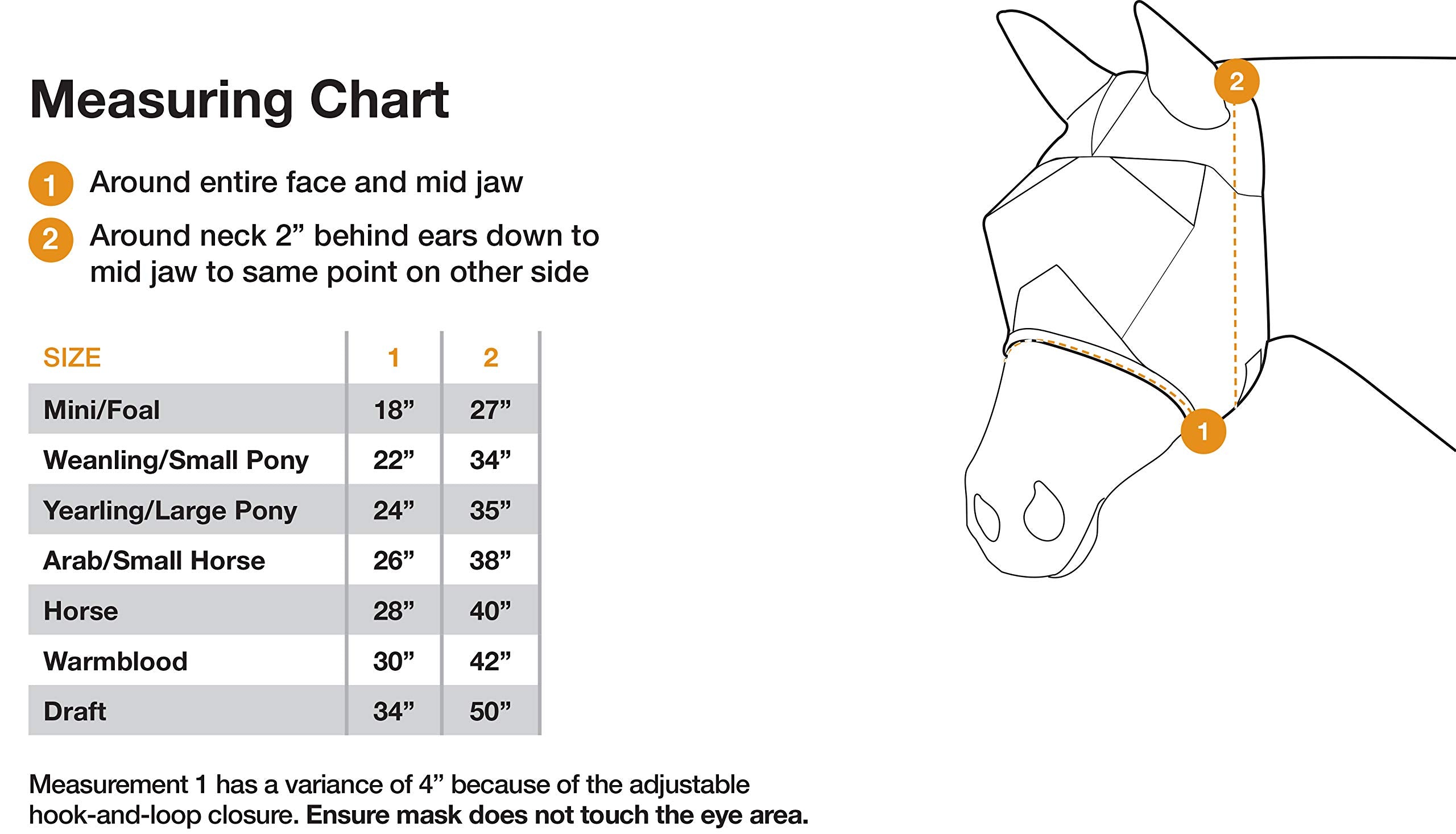 Cashel Crusader mask on horse highlights comfortable fit with UV protection during sunny rides