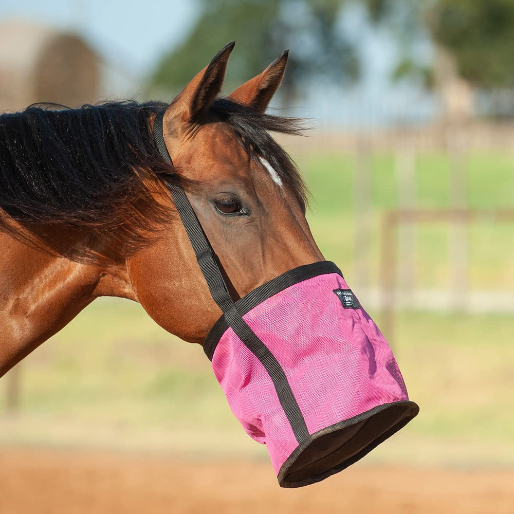 Cashel Feed Rite Bag Pink adjustable strap close-up for secure fit